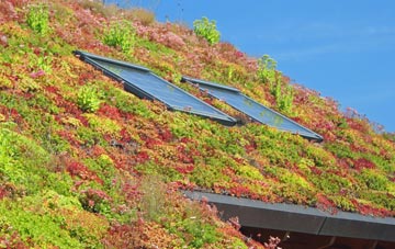 Ackergill living roof systems