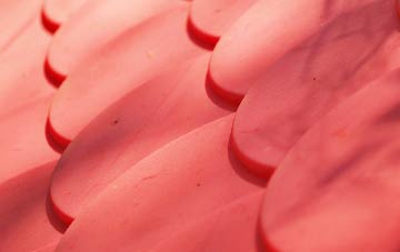 Ackergill plastic roof costs